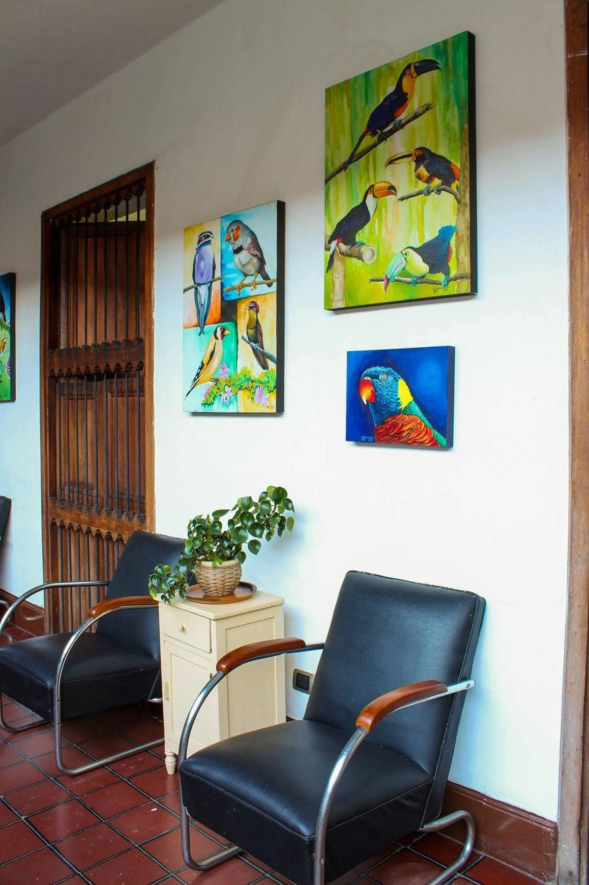 Kingbird Hostel Cali Zewnętrze zdjęcie